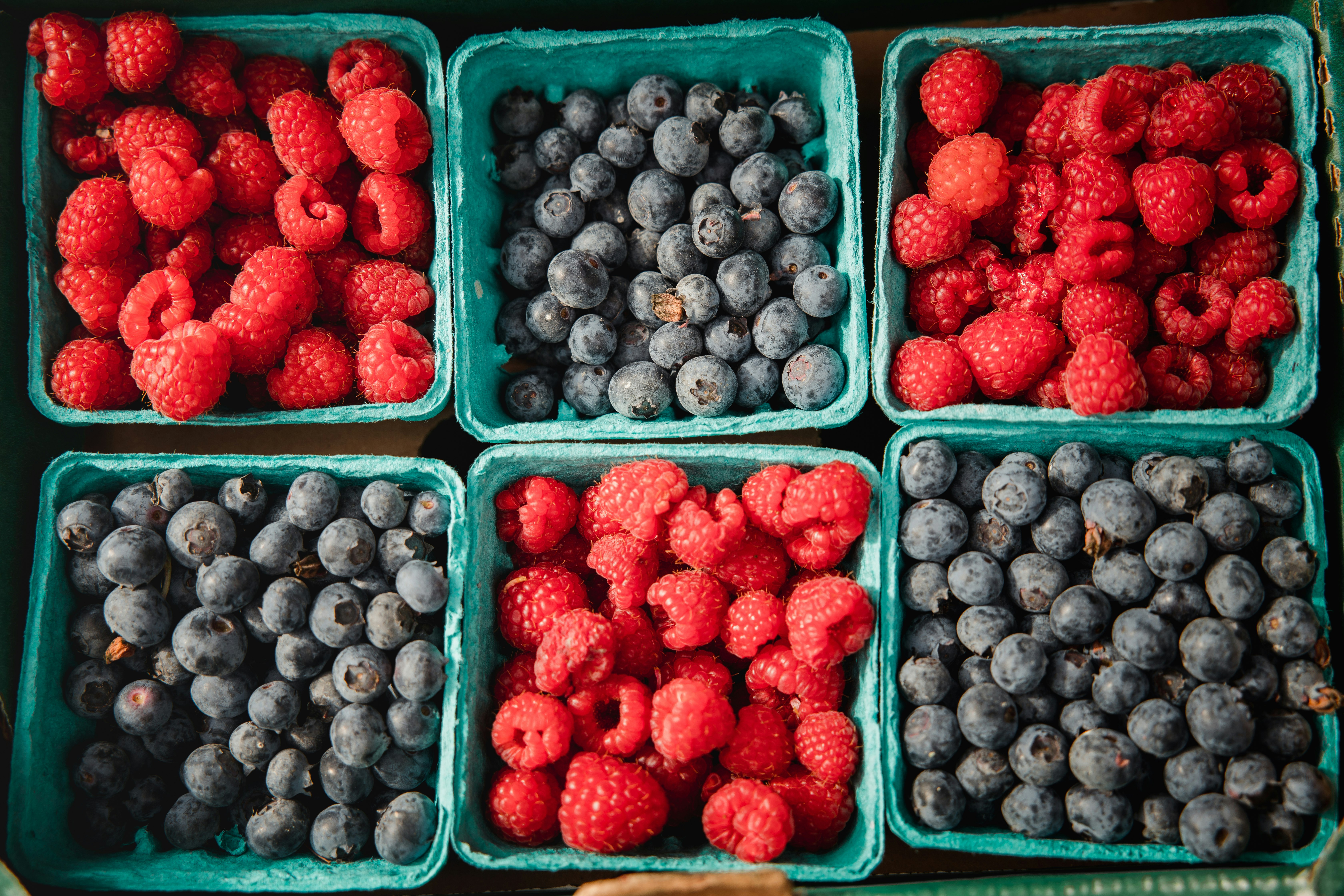 red and black berries in blue plastic crate